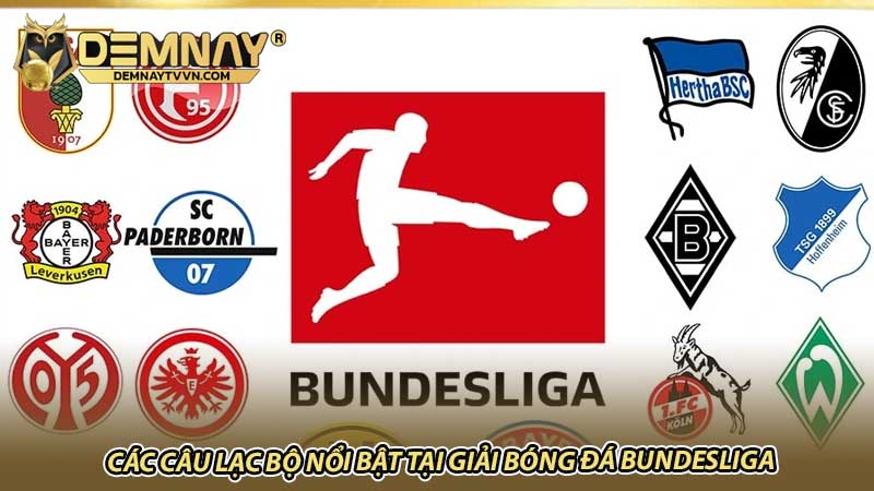 Các câu lạc bộ nổi bật tại giải bóng đá Bundesliga