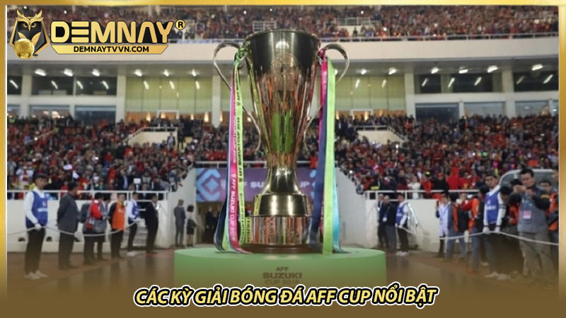 Các kỳ giải bóng đá AFF Cup nổi bật