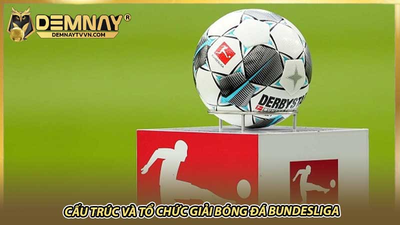 Cấu trúc và tổ chức giải bóng đá Bundesliga