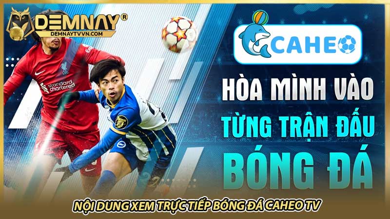 Nội dung xem trực tiếp bóng đá Caheo TV