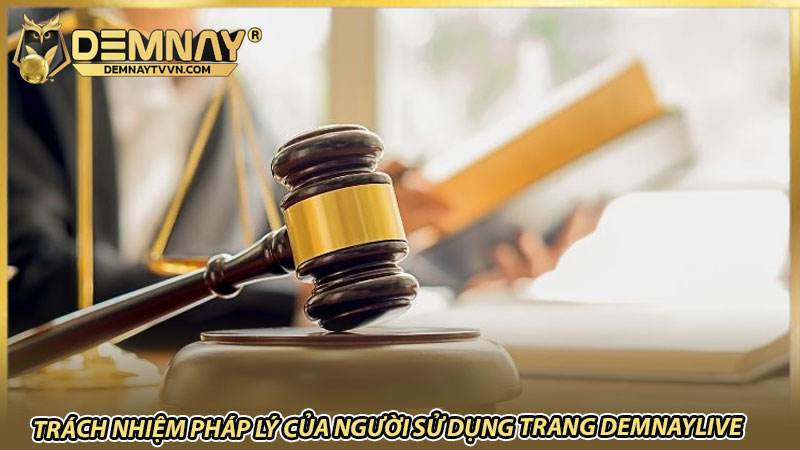 Trách nhiệm pháp lý của người sử dụng trang Demnaylive